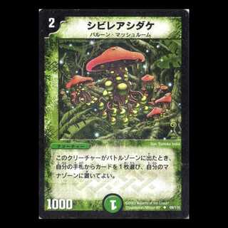 デュエルマスターズ DM01-069《シビレアシダケ》 1枚