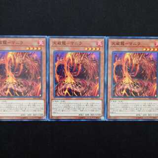 天威龍-マニラ N