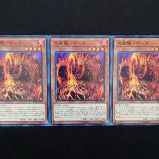 天威龍-マニラ N