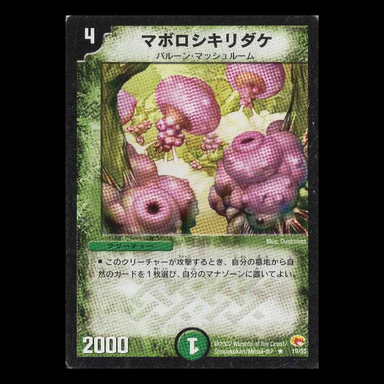 デュエルマスターズ DM03-19《マボロシキリダケ》 - コピー 1枚