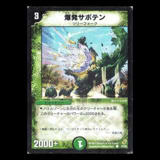 デュエルマスターズ DM04-54《爆発サボテン》 1枚