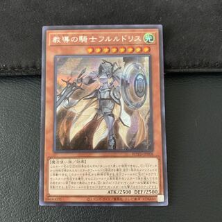 教導の騎士フルルドリス SE