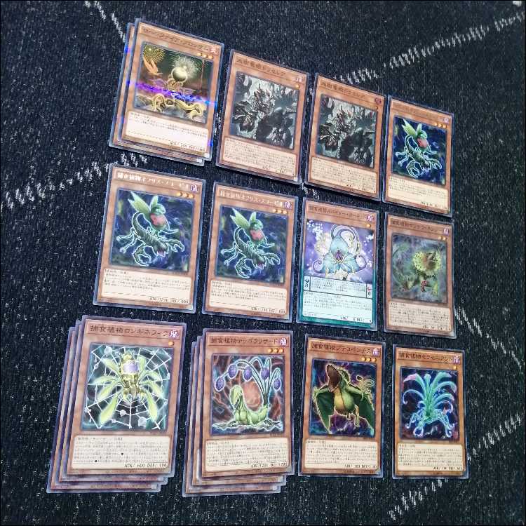 Yu-Gi-Oh! Deck: Prey Upon Plants - Predator Plants - Deadevil [05206] 1枚