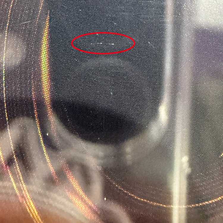 【PSA10】真紅眼の黒竜 レリーフ アルティメットレア 301-056 1枚