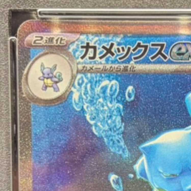 PSA10】カメックスex SAR 202/165 1枚の通販 土日祝休@magi公式