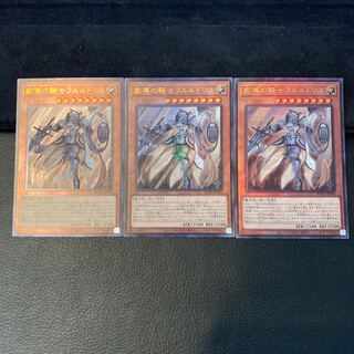 教導の騎士フルルドリス UL