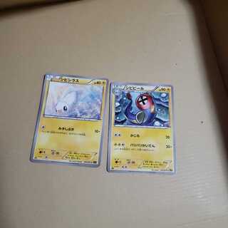 シビビールシビシラス