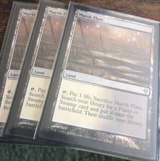 湿地の干潟 英 3枚