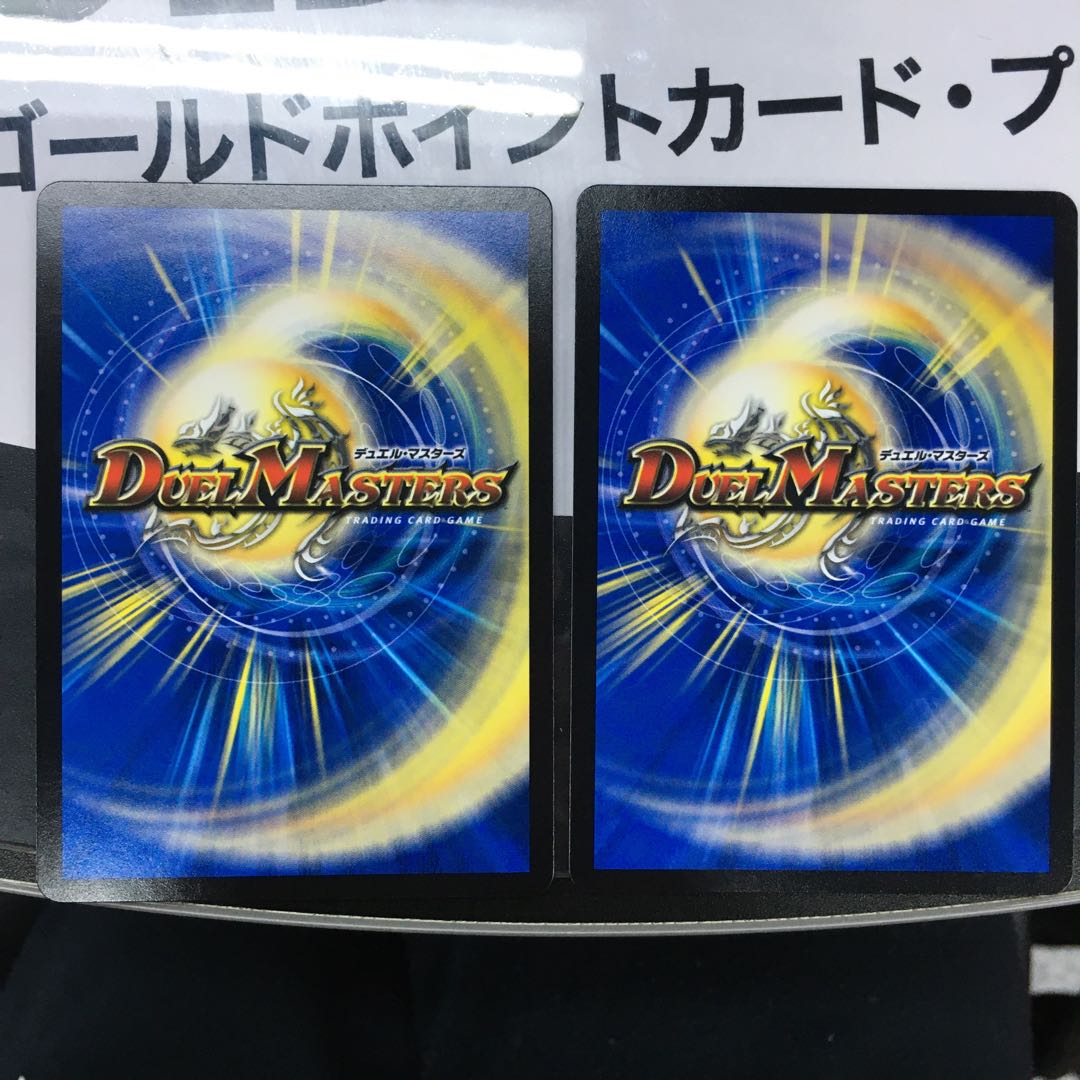 Knight of the Shield of the Absolute."