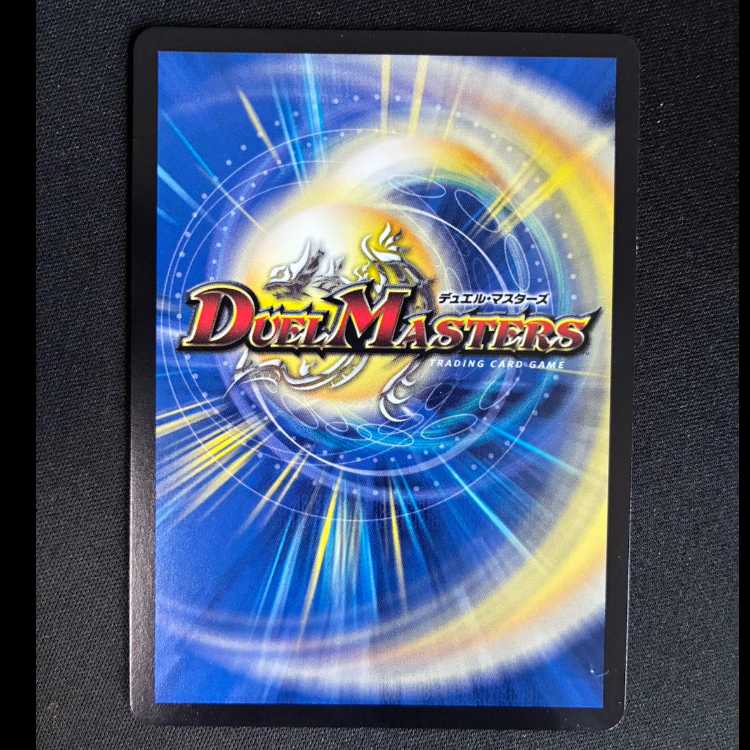 ##13 Invigoration Link XXDDZ VR 10/14 1枚
