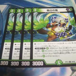 樹占の風 U　フォーチュンウィンド