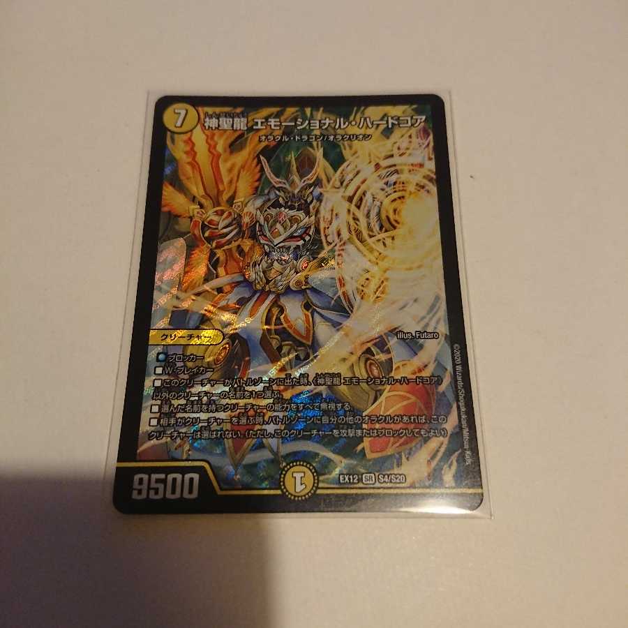 神聖龍 エモーショナル・ハードコア