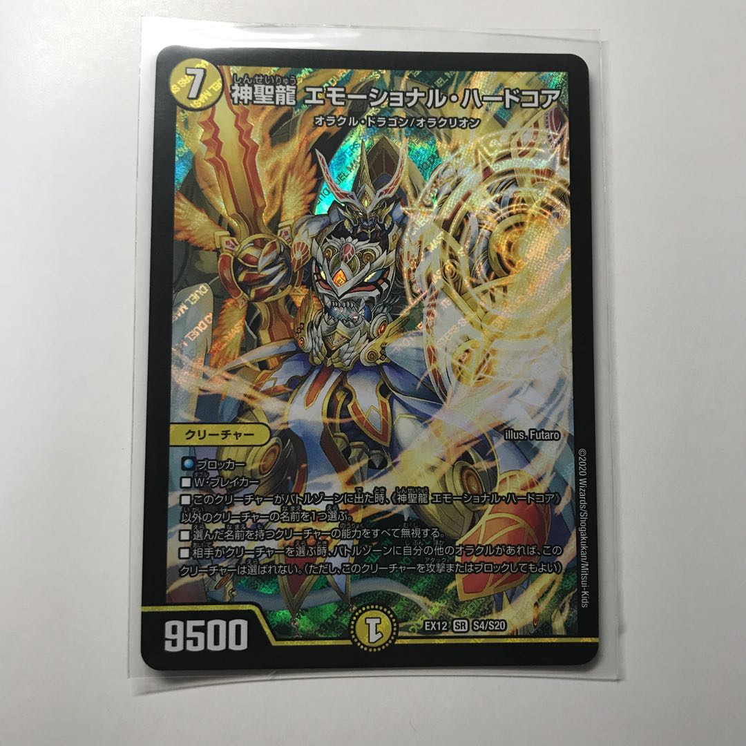 神聖龍 エモーショナル・ハードコア