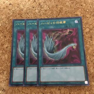 ハーピィの羽根帚 UR