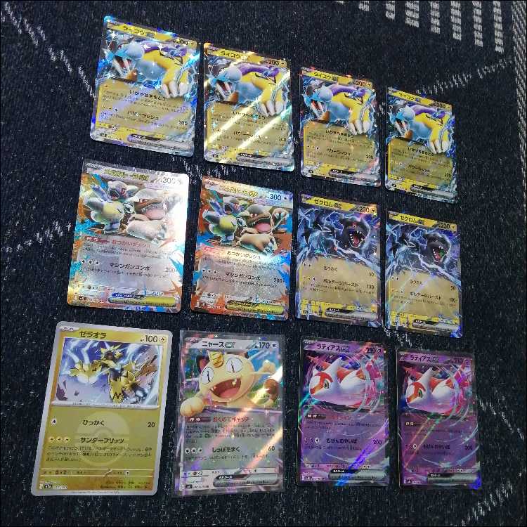 ポケモンカード　デッキ　ライコウex　メガガルーラex　[05226] 1枚
