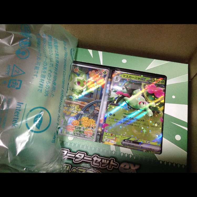 ニャオハ＆マスカーニャex スターターセット 2セット 新品未開封 2BOX
