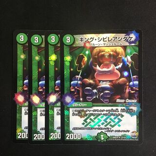 キングシビレアシダケ4枚