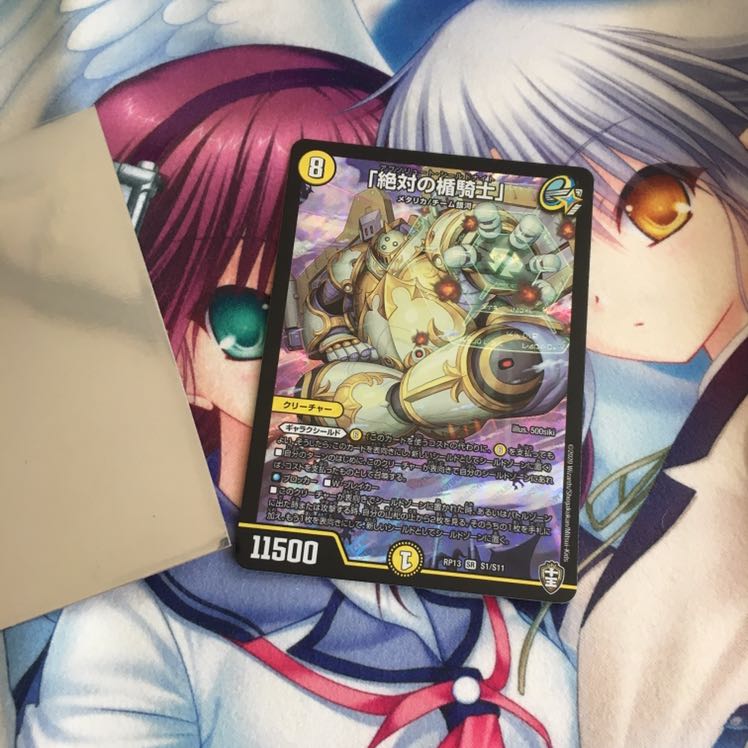 「絶対の楯騎士」