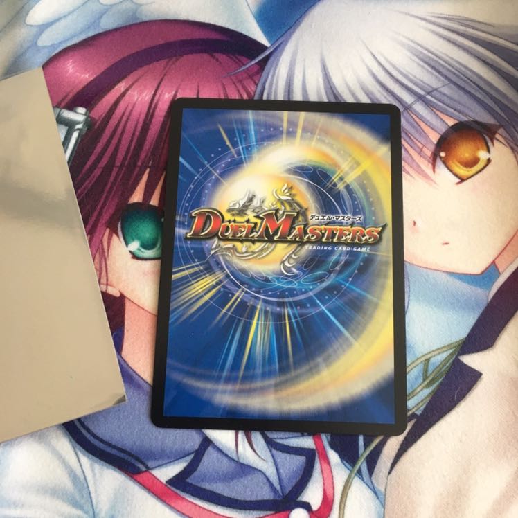 「絶対の楯騎士」