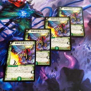 反射の大地カプリコン