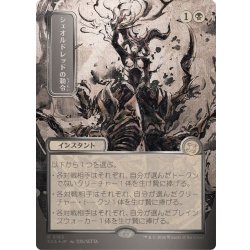 (Silver Scroll FOIL) (Japan-Exclusive Art) Sheoldred's Edict《Japanese》【SOA】 1枚
