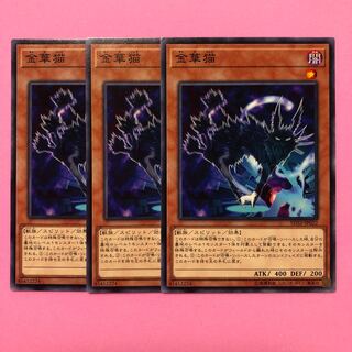 遊戯王 金華猫 3枚 ノーマル