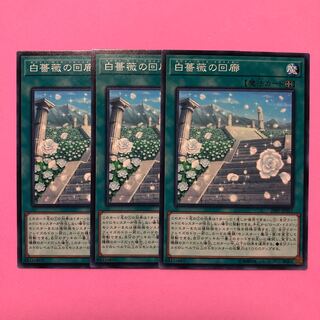 遊戯王 白薔薇の回廊 3枚 ノーマル