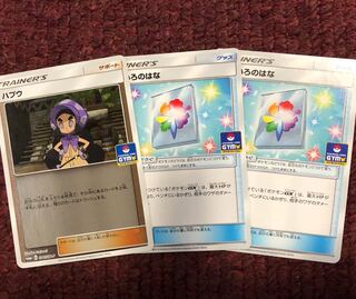 ハプウ にじいろのはな ジムプロモ