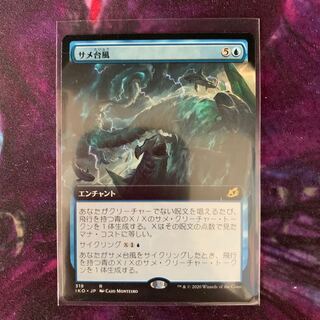 サメ台風　拡張アート