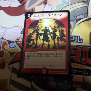 ニンプウ・タイフーン