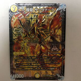 煌龍 サッヴァーク　金シク