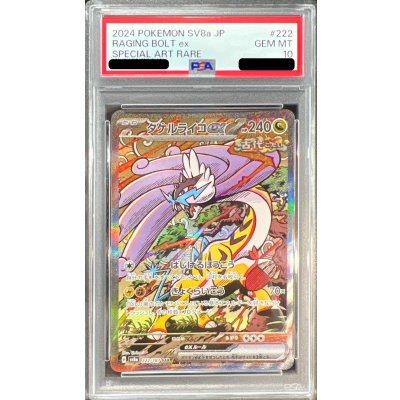 [PSA10 Certified] Takeru Raiko ex [SAR] {222/187} 1枚