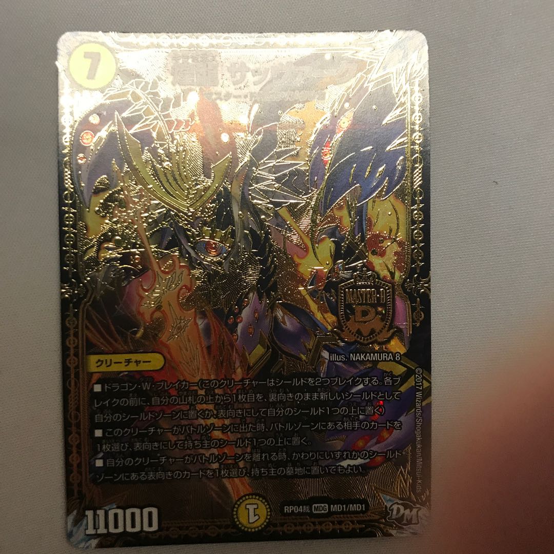 煌龍 サッヴァーク