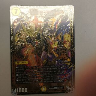 煌龍 サッヴァーク