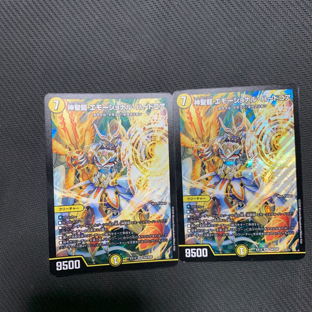 神聖龍 エモーショナル・ハードコア SR