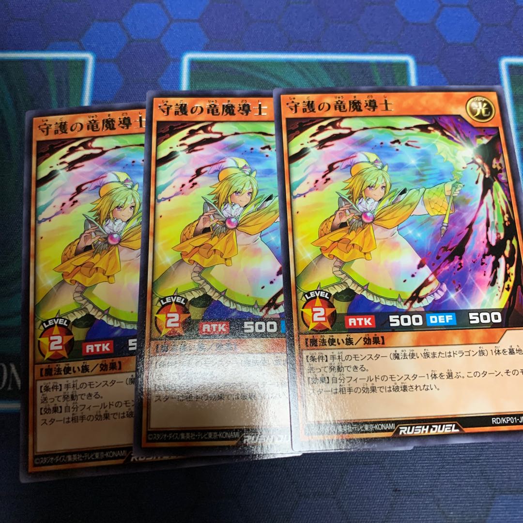 守護の竜魔導士