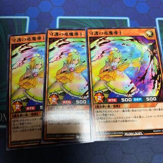 守護の竜魔導士