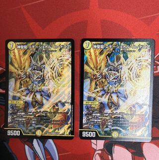 神聖龍 エモーショナル・ハードコア 2枚