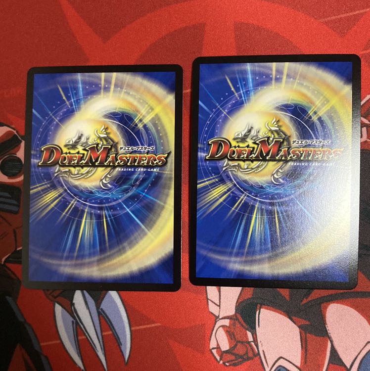 神聖龍 エモーショナル・ハードコア 2枚