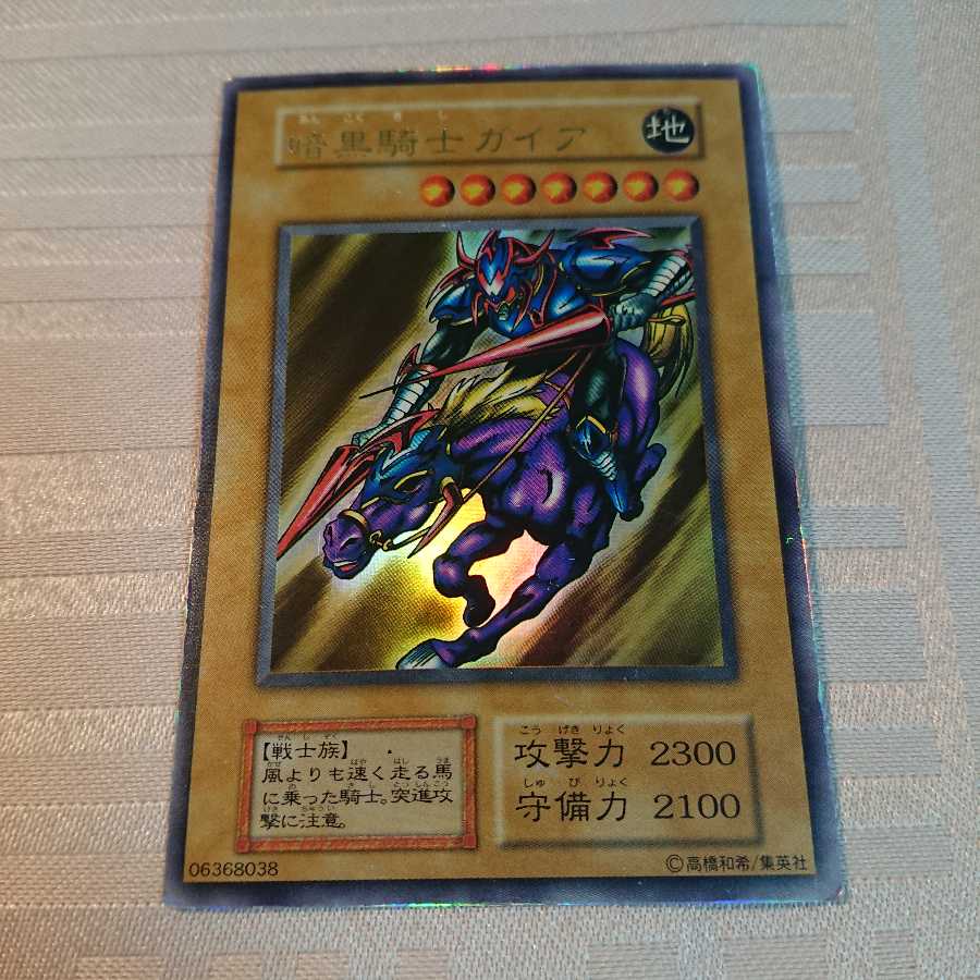 [初期]暗黒騎士ガイア[い様 専用]