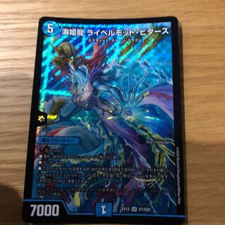 海姫龍 ライベルモット・ビターズ