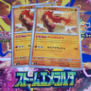Landorus U 040/076 2枚