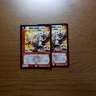 楯神の賢者レオルド