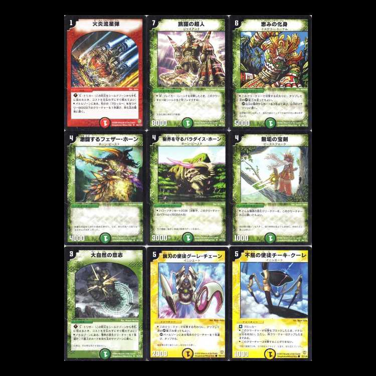 Duel Masters DM06—Fighting Spirit, Part 1: Invincible Soul 1枚