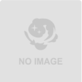 Duel Masters DMR20-Rev Restructure Revolution Chapter 4: Gyujinmaru's True Identity Revealed!! 1枚