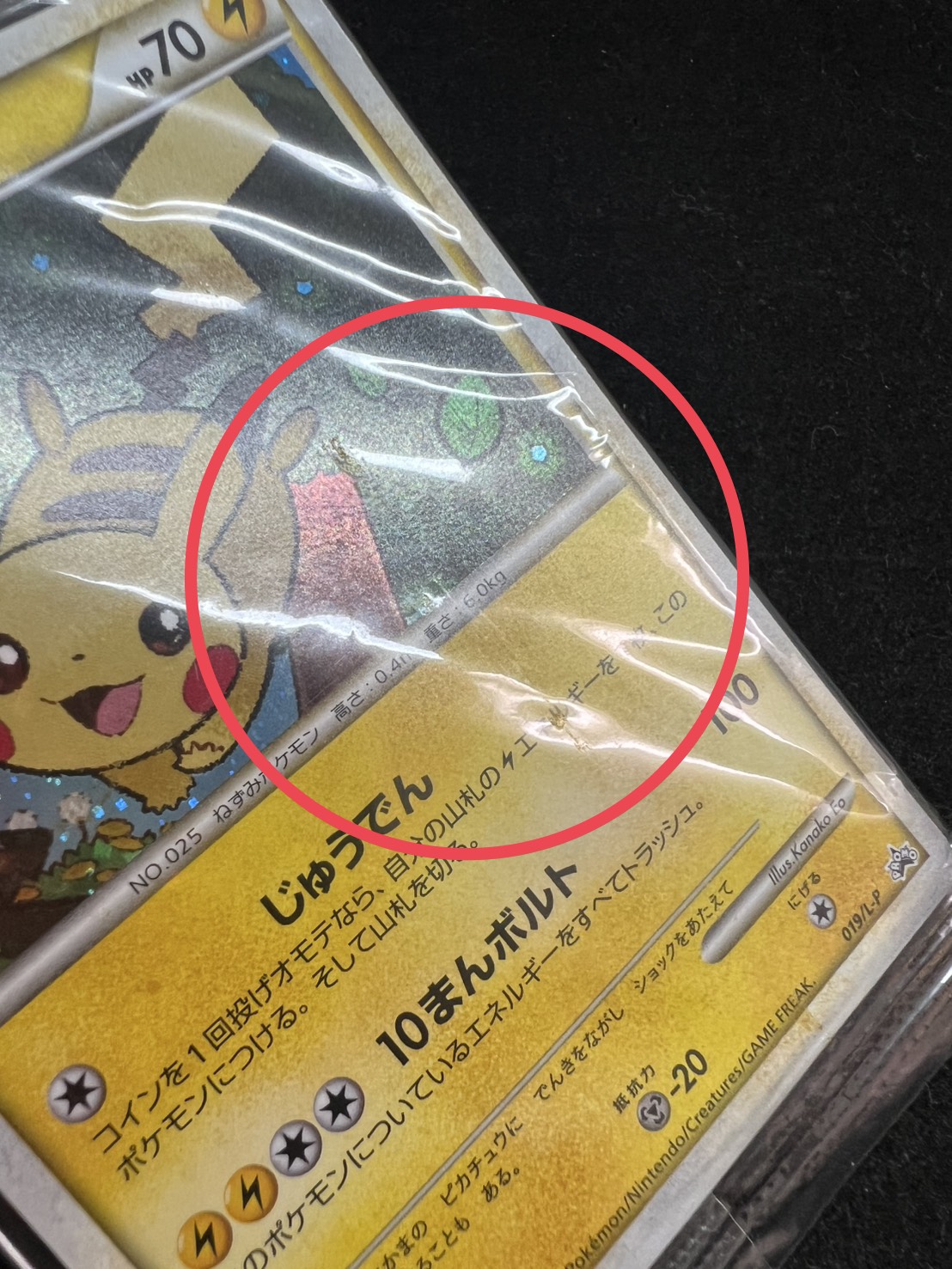 [Condition B] Pikachu (Unopened) [P] {019/L-P} 1枚