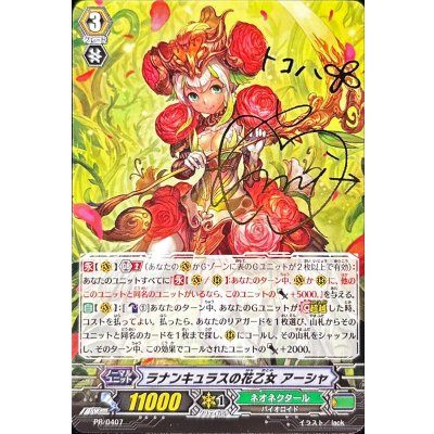 Ranunculus Flower Maiden Asha [PR] {PR/0407} *Neo Nectar* 1枚