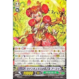Ranunculus Flower Maiden Asha [PR] {PR/0407} *Neo Nectar* 1枚