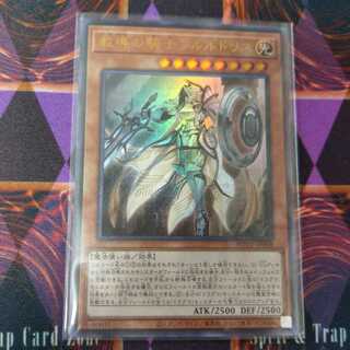 教導の騎士フルルドリス UR 1枚