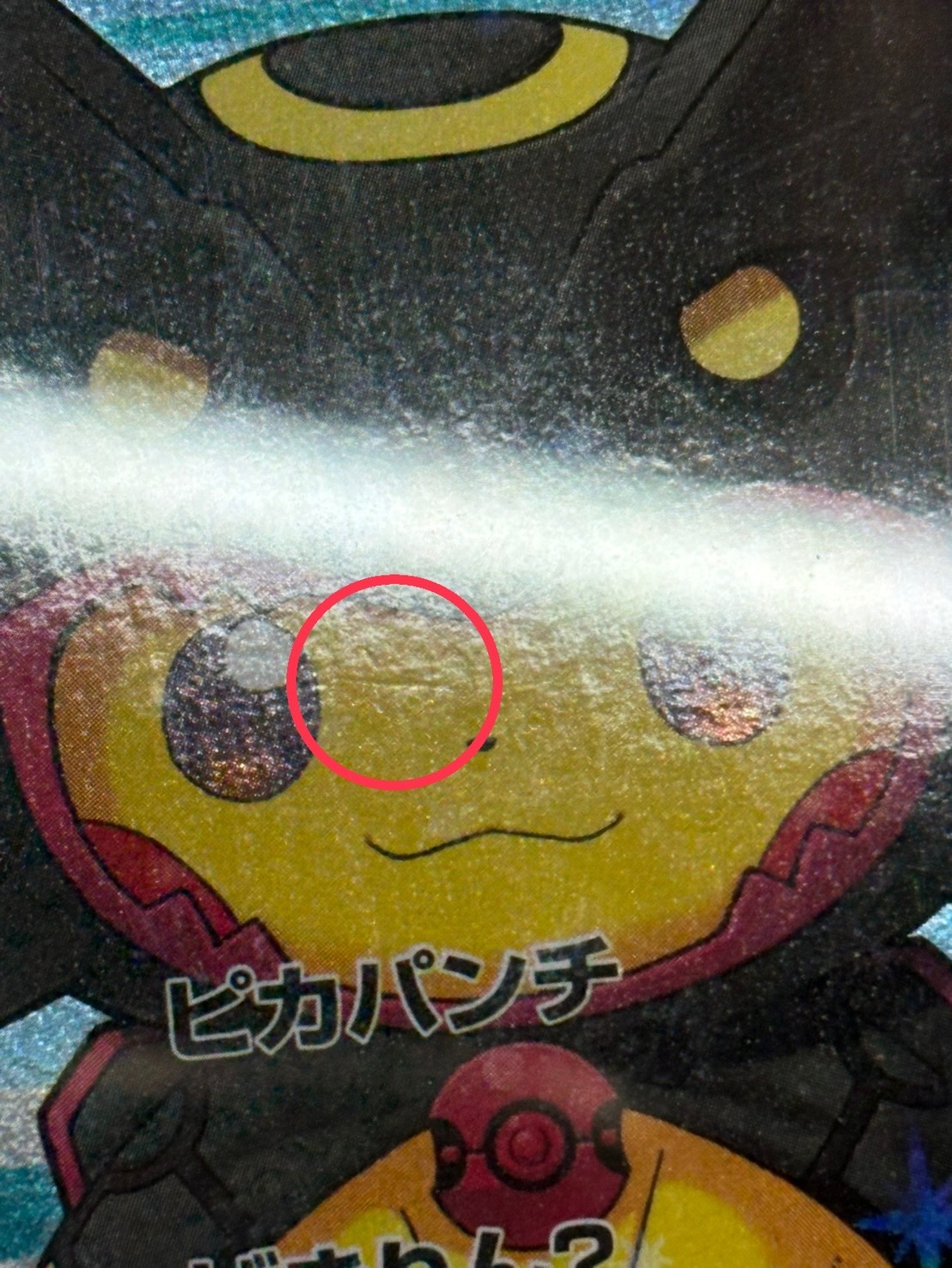 [*Condition: Poor / PSA 8 Certified] Pikachu in a Poncho [P] {231/XY-P} 1枚